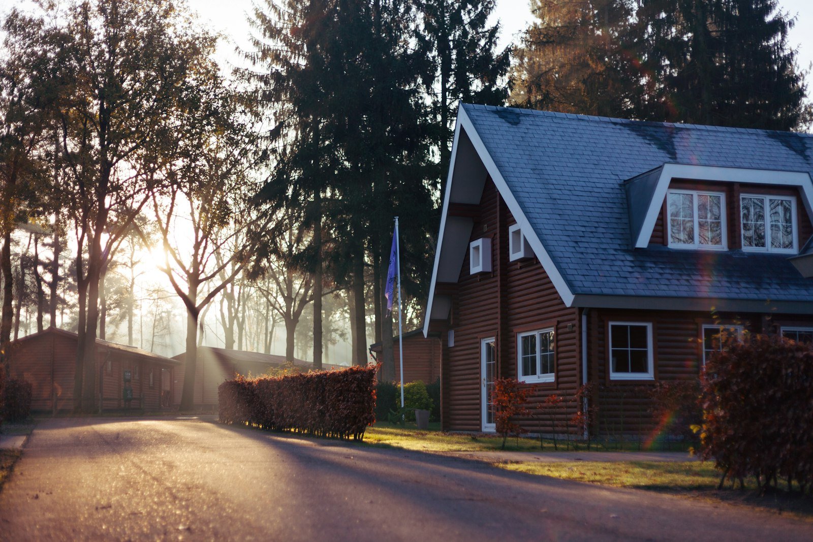 A quiet residential street with trees